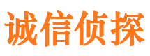 长江新区寻人公司